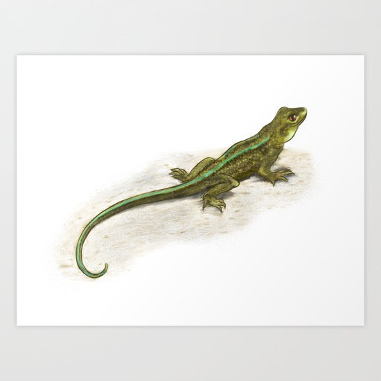 Lizard Art Print