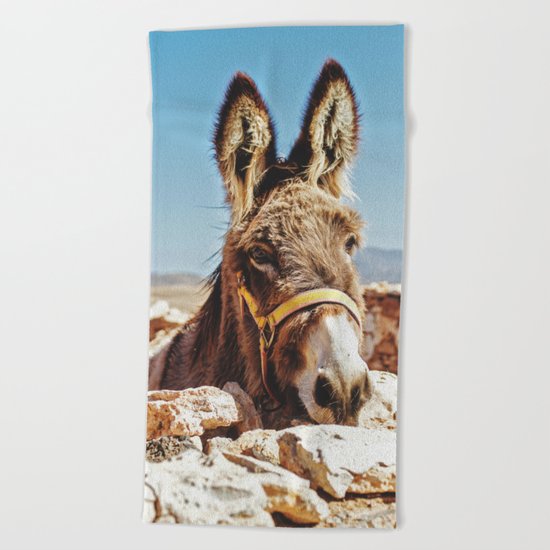 Donkey photo Beach Towel