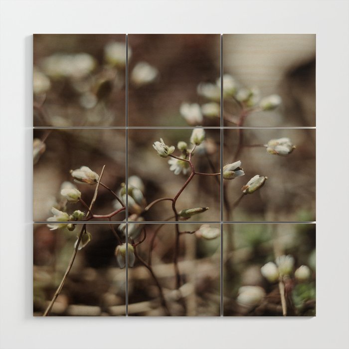 floral composition no. 3 Wood Wall Art