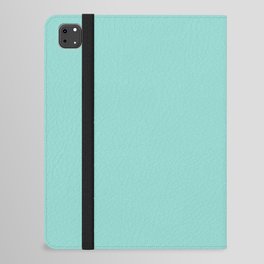 Delightful Teal iPad Folio Case