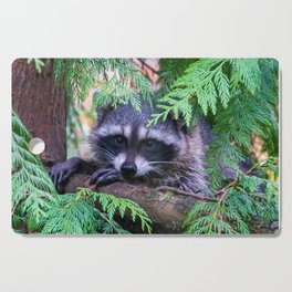 Baby Raccoon Cutting Board