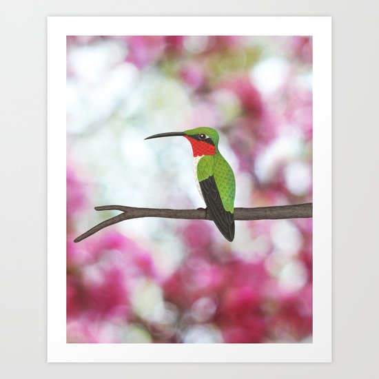 ruby throated hummingbird - male on pink bokeh Art Print