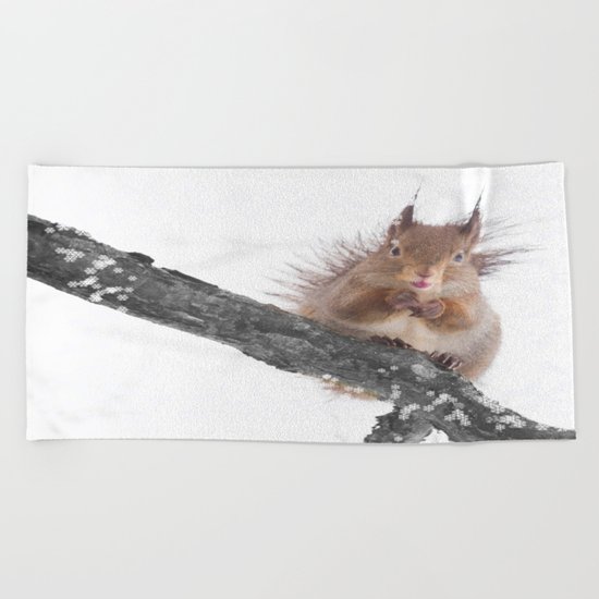 Little squirrel - smack! Beach Towel