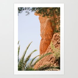 Beautiful nature of Ibiza // Ibiza Nature & Travel Photography Art Print
