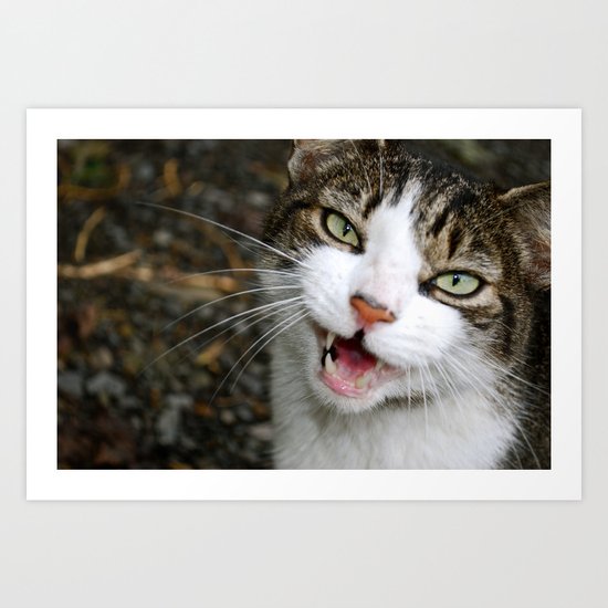 Meow! Art Print
