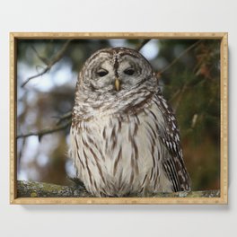 Barred owl Serving Tray