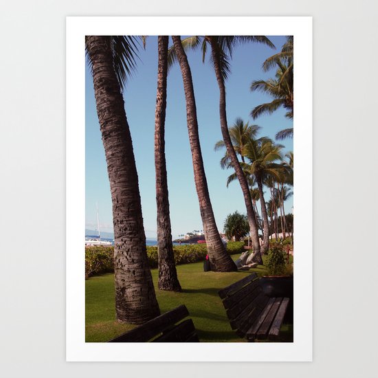 Palms Create Lines Art Print