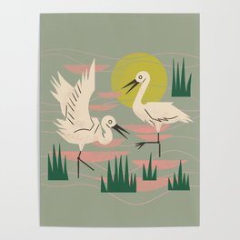 Cranes Wading At Sunset (Sage) Poster