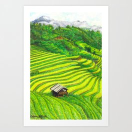 Vietnam Rice Fields Illustration Art Print