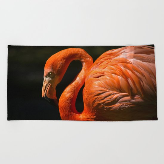 Flamingo photo Beach Towel