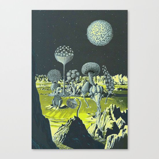 THERE IS NO VOID Canvas Print
