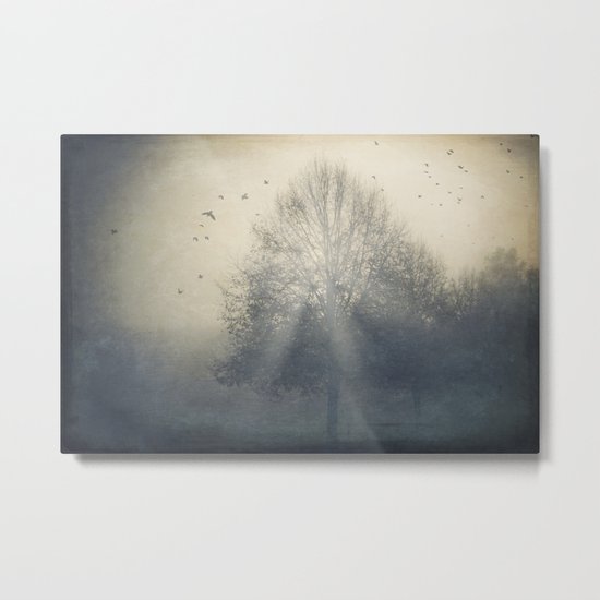 Foggy Novemberday Metal Print