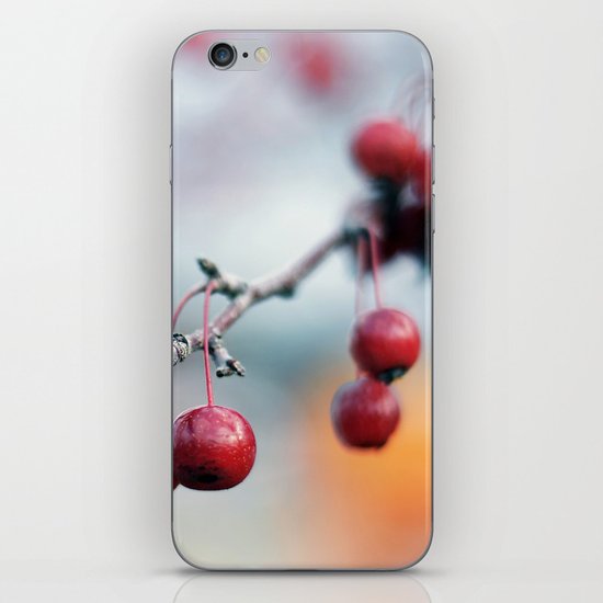Fall Berries iPhone & iPod Skin