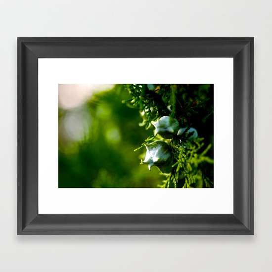 Macro Framed Art Print