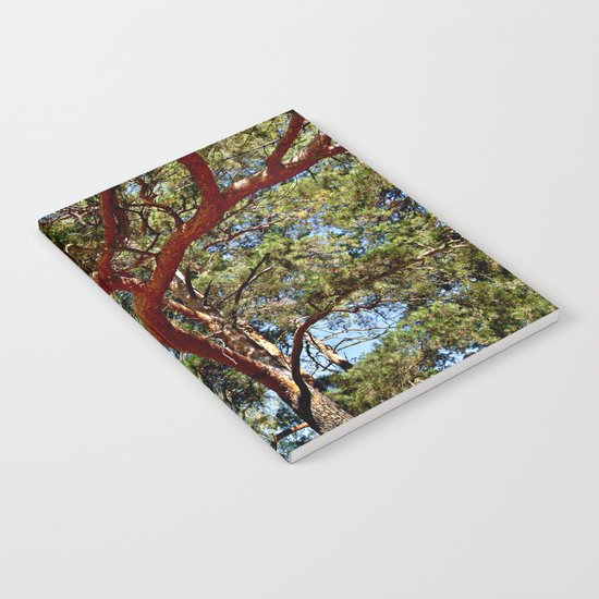 Autumnal lure of the forest Notebook