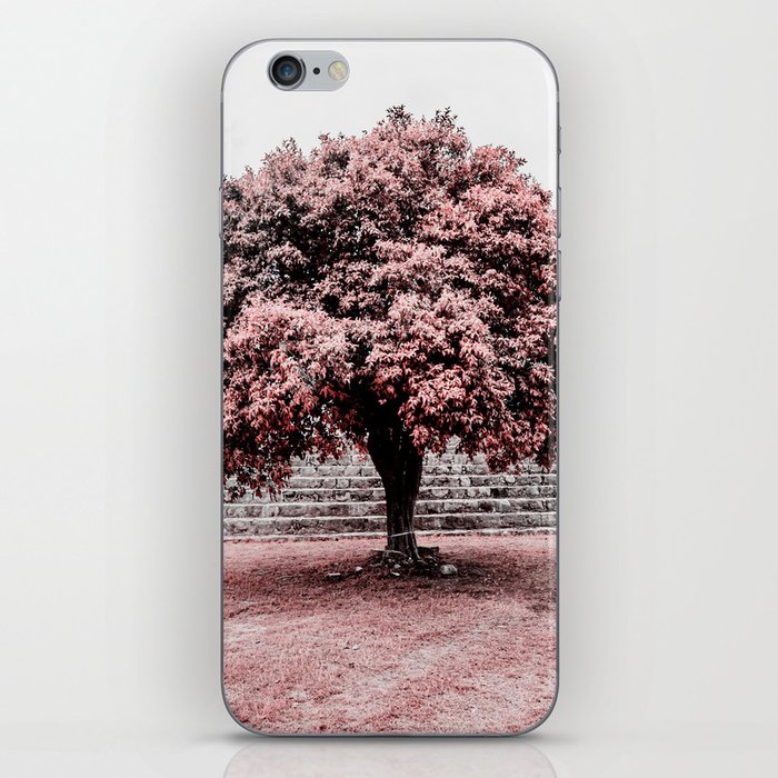 Dzibilchaltun Tree iPhone Skin