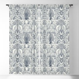 Beach treasures, seashells, crab, corals and seaweeds in navy on natureal whie Blackout Curtain