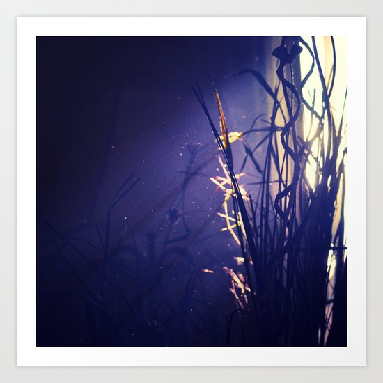 Sunlight & shadows Art Print