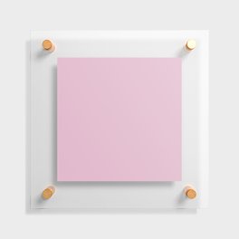 Pink Mist Floating Acrylic Print