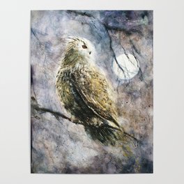Eagle Owl at night Poster