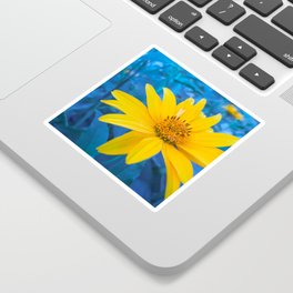 Yellow flower on a blue background Sticker