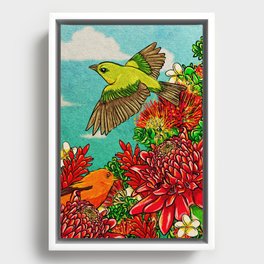 Akepa O' Hawaii 1 Framed Canvas
