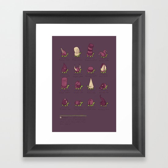 A Study of Turtles Framed Art Print