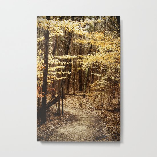 a path in the woods Metal Print