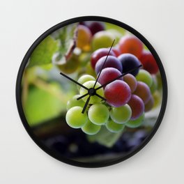 Grapes in Veraison  Wall Clock