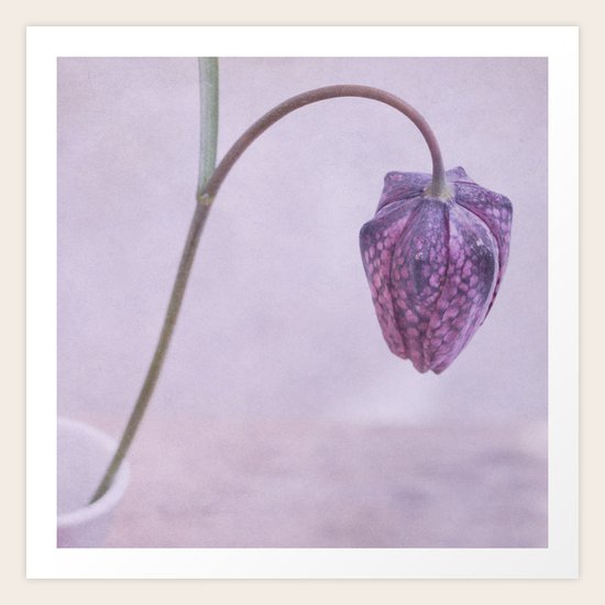 different Art Print