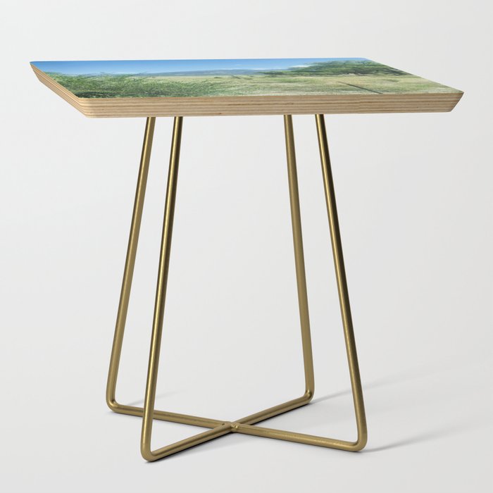Out Of State Out Of Mind Side Table