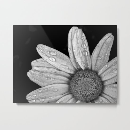 After the Rain Metal Print