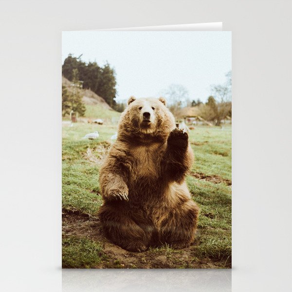 Hi Bear Stationery Cards