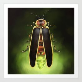 Lightning Bug - Firefly Art Print