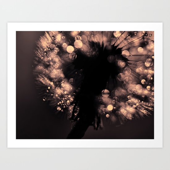 dandelion - starlight Art Print