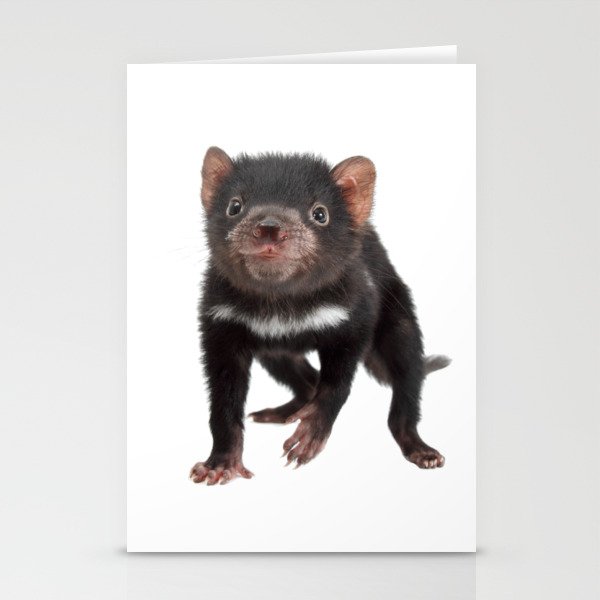 An adorable Tasmanian devil joey Stationery Cards