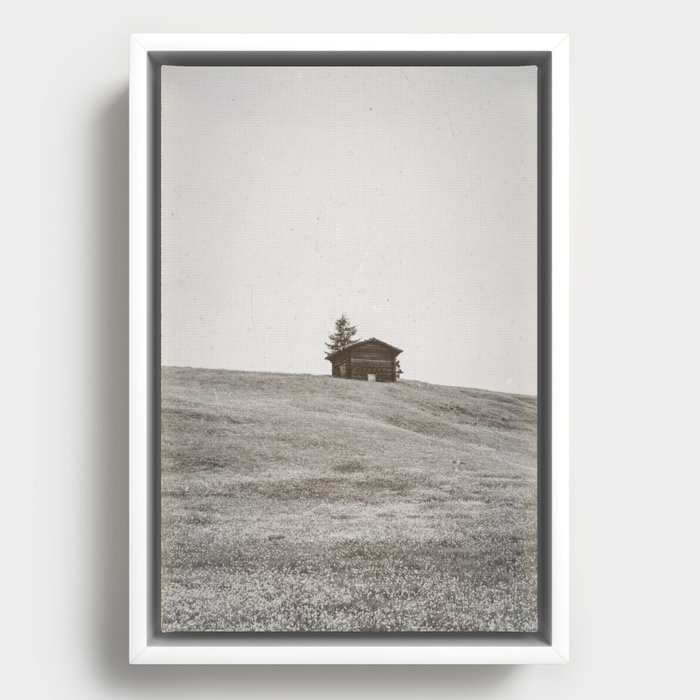 Framed Canvas