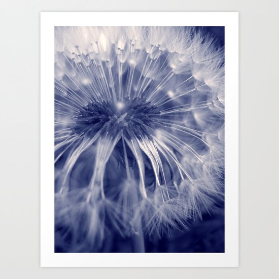 blue dandelion I Art Print