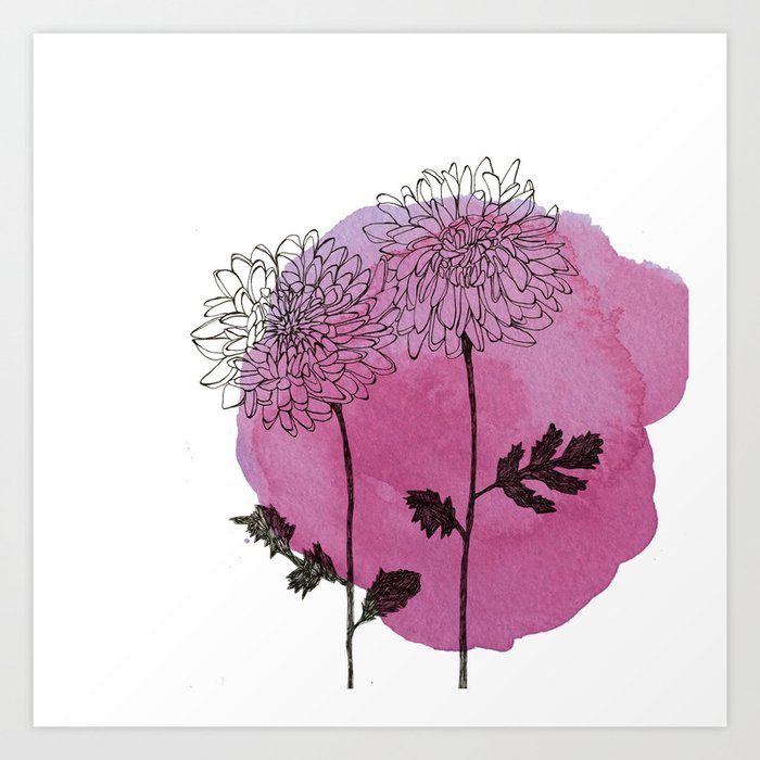 chrysanthemum Art Print