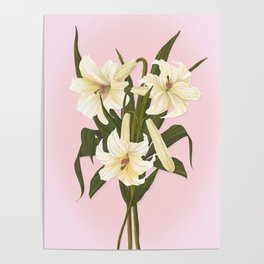 Remembrance Lilies Poster