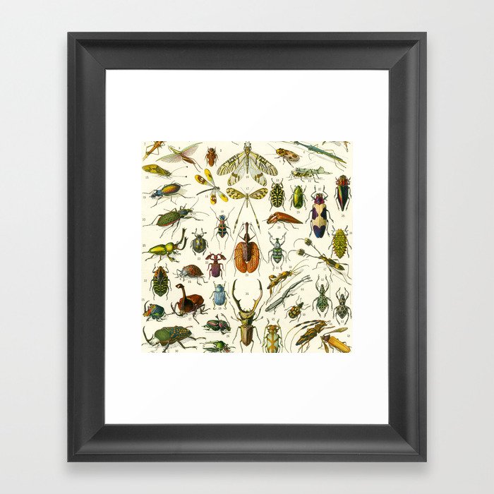 Bugs  Framed Art Print