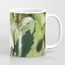 Flower and Bee Coffee Mug