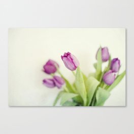Longing for spring Canvas Print