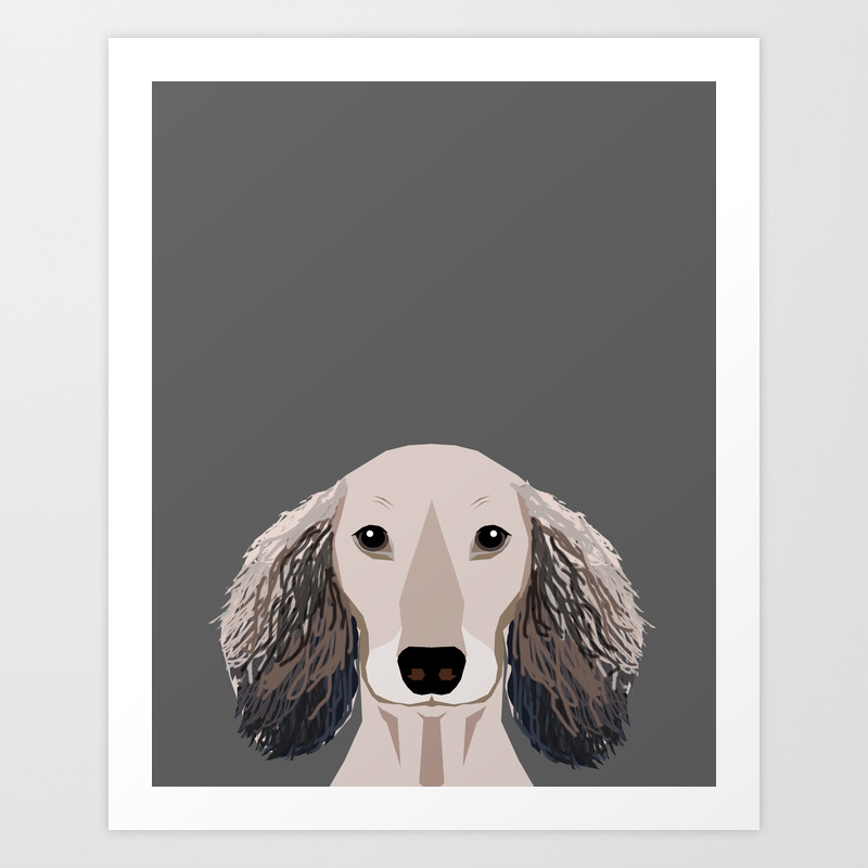 Doxie Portrait Shaded Cream Longhaired Dog Design Cute