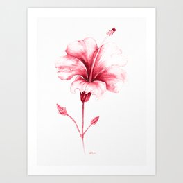 Hibiscus - Ruby Art Print