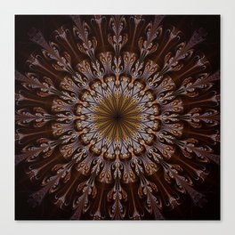 symmetry-1 Canvas Print