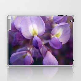 Single Stem Of Wisteria Vine Flower Close Up Photography Laptop Skin