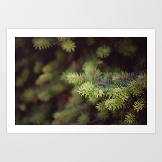 evergreen Art Print
