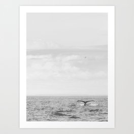 Humpback Whale Nature Photography No. 1 Art Print