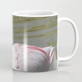 Flamingo at Rest Coffee Mug